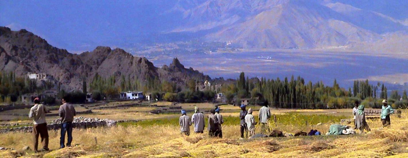 Ladakh, terre des cimes