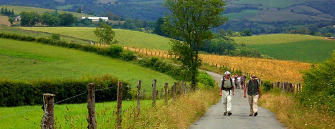 Les amoureux du chemin de Compostelle